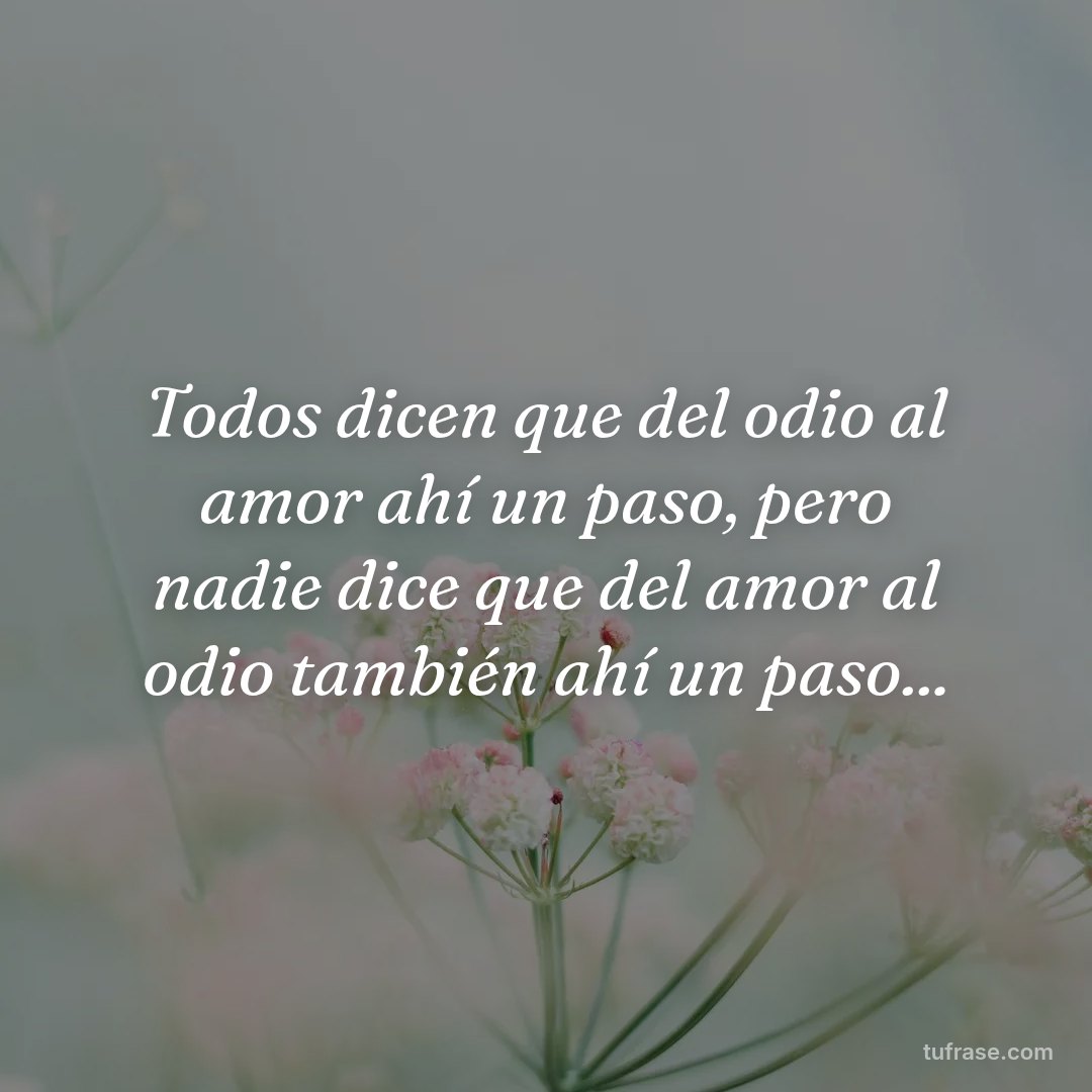 Todos dicen que del odio al amor ahí un paso, pero nadie dice que del amor al odio también ahí un paso...