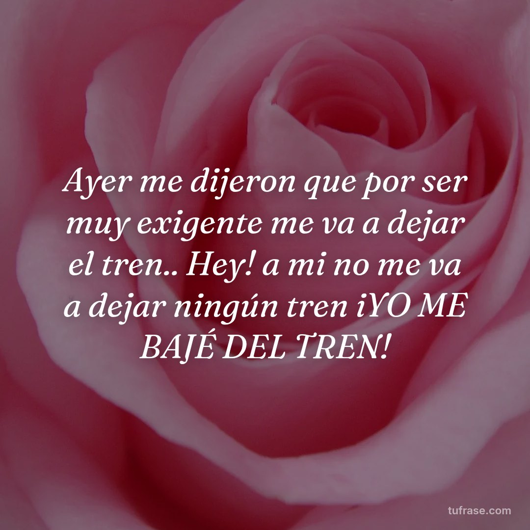Ayer me dijeron que por ser muy exigente me va a dejar el tren.. Hey! a mi no me va a dejar ningún tren iYO ME BAJÉ DEL TREN!