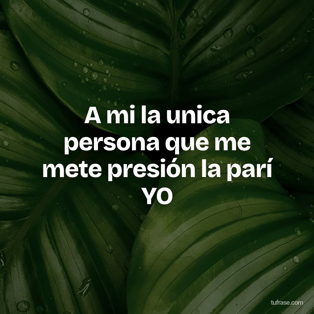 A mi la unica persona que me mete presión la parí YO