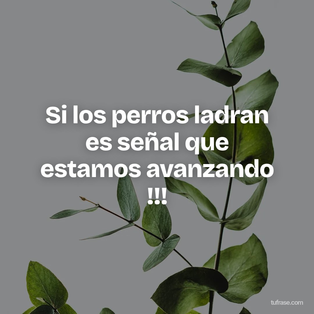Si los perros ladran es señal que estamos avanzando !!!