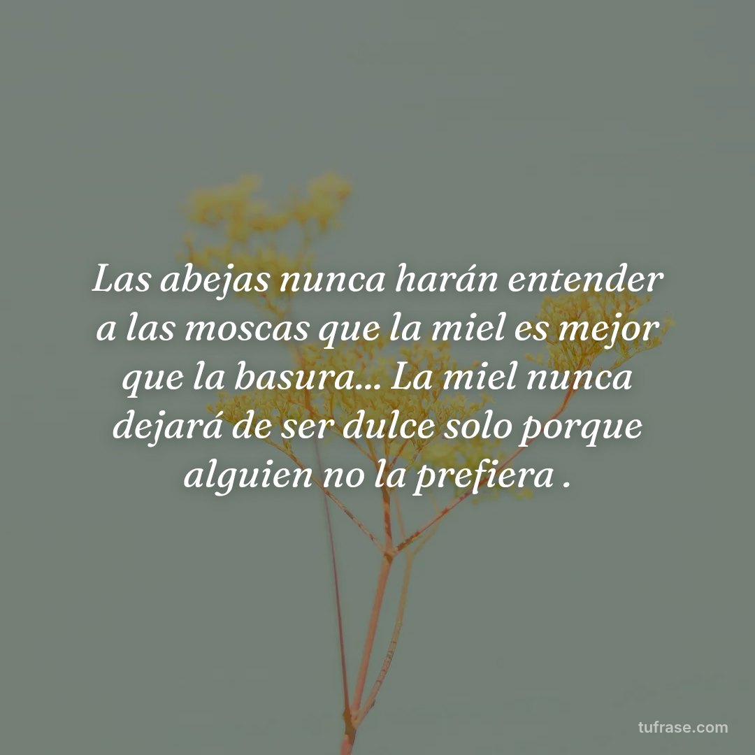 Las abejas nunca harán entender a las moscas que la miel es mejor que la basura... La miel nunca dejará de ser dulce solo porque alguien no la prefiera .