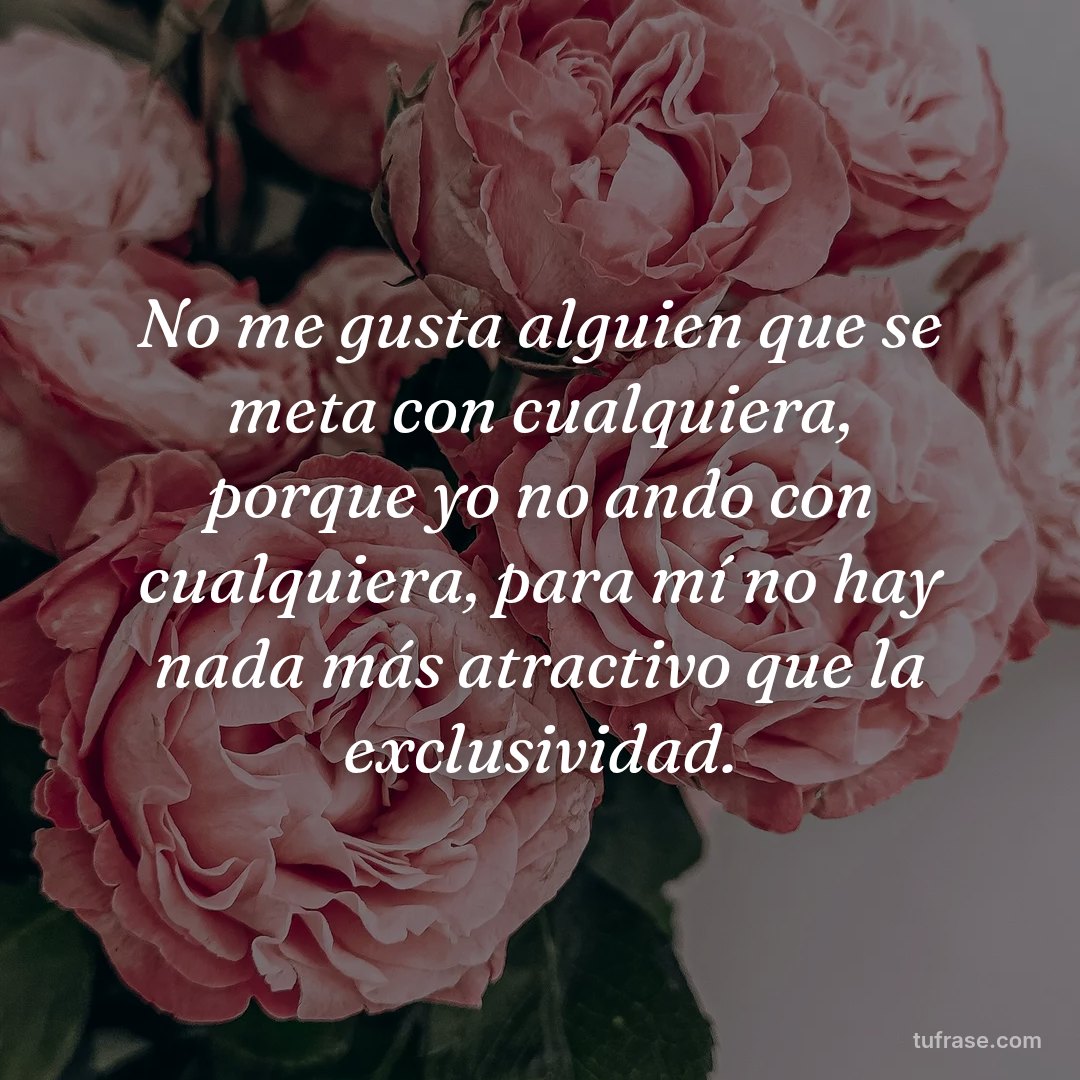 No me gusta alguien que se meta con cualquiera, porque yo no ando con cualquiera, para mí no hay nada más atractivo que la exclusividad.