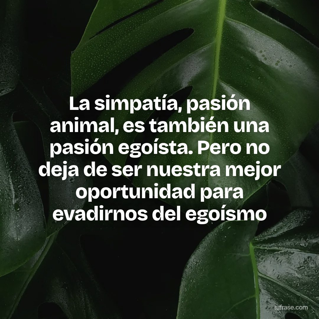 La simpatía, pasión animal, es también una pasión egoísta. Pero no deja de ser nuestra mejor oportunidad para evadirnos del egoísmo