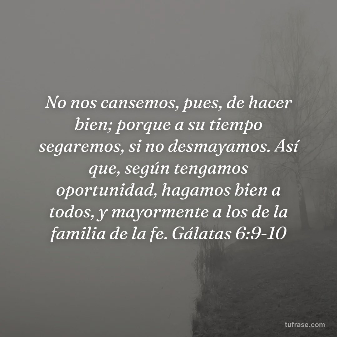 No nos cansemos, pues, de hacer bien; porque a su tiempo segaremos, si no desmayamos. Así que, según tengamos oportunidad, hagamos bien a todos, y mayormente a los de la familia de la fe. Gálatas 6:9-10