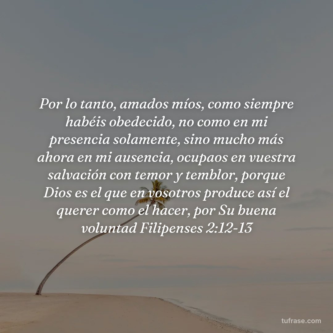 Por lo tanto, amados míos, como siempre habéis obedecido, no como en mi presencia solamente, sino mucho más ahora en mi ausencia, ocupaos en vuestra salvación con temor y temblor, porque Dios es el que en vosotros produce así el querer como el hacer, por Su buena voluntad Filipenses 2:12-13