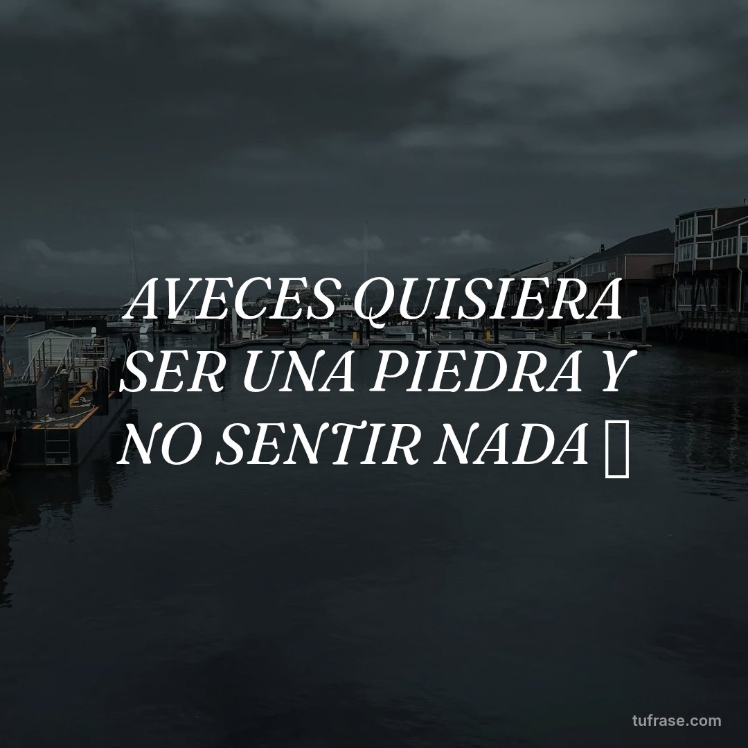 AVECES QUISIERA SER UNA PIEDRA Y NO SENTIR NADA 🥲