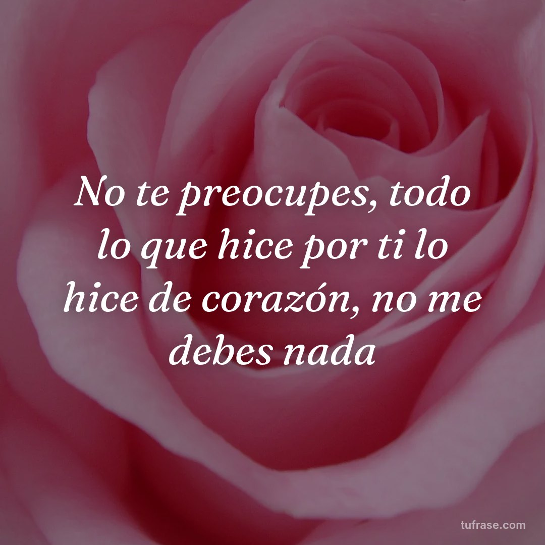 No te preocupes, todo lo que hice por ti lo hice de corazón, no me debes nada