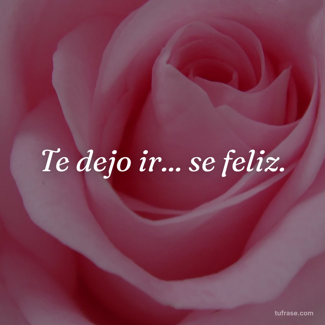 Te dejo ir... se feliz.