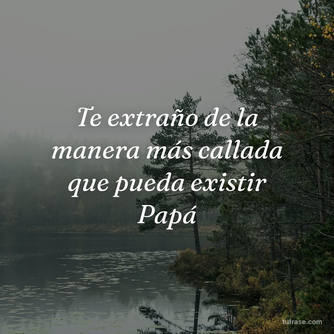 Te extraño de la manera más callada que pueda existir Papá