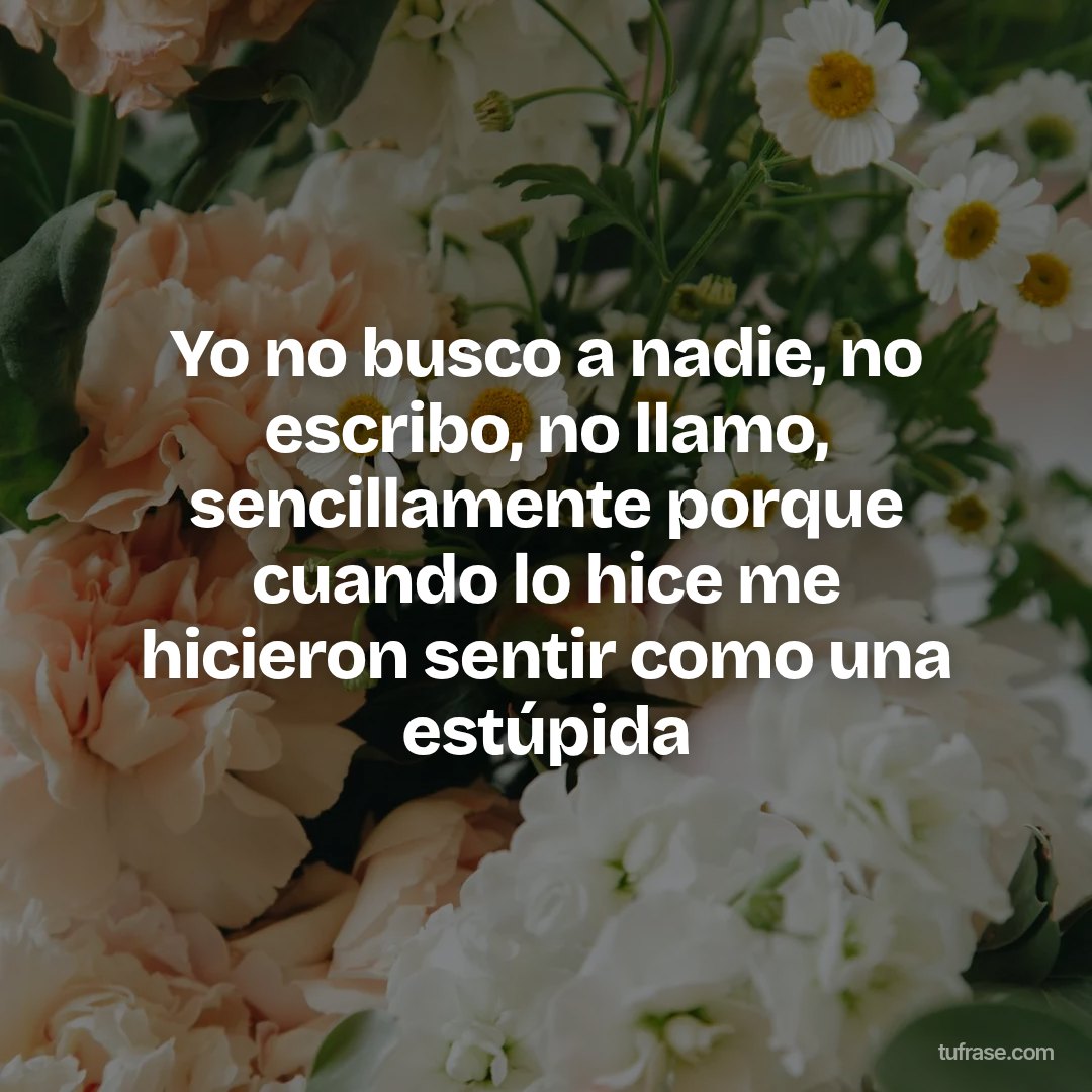 Yo no busco a nadie, no escribo, no llamo, sencillamente porque cuando lo hice me hicieron sentir como una estúpida