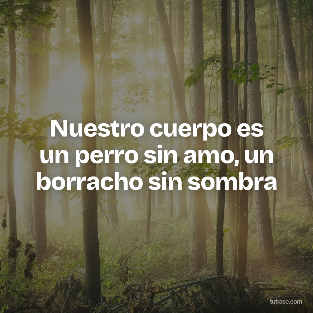 Nuestro cuerpo es un perro sin amo, un borracho sin sombra