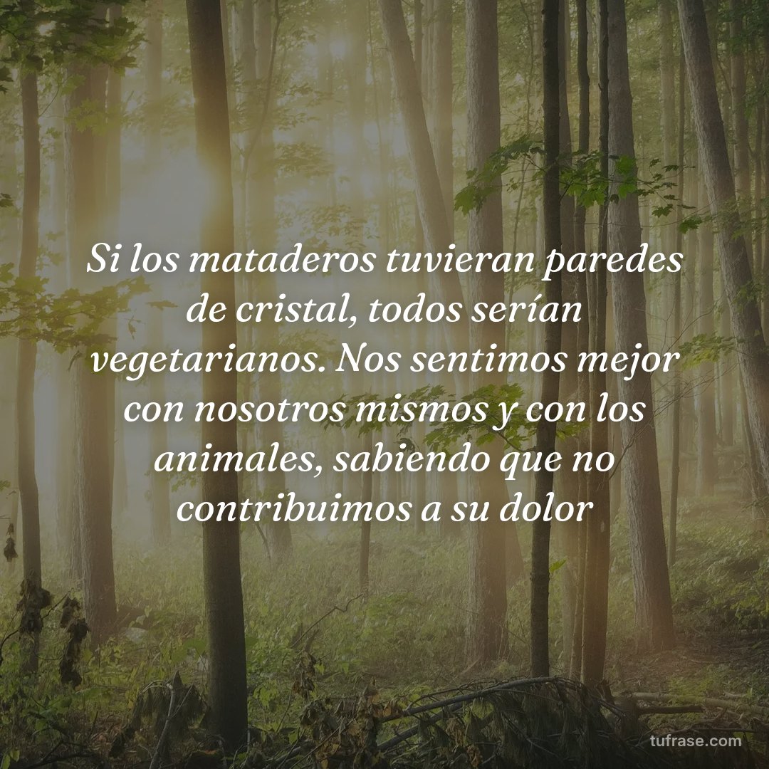 Si los mataderos tuvieran paredes de cristal, todos serían vegetarianos. Nos sentimos mejor con nosotros mismos y con los animales, sabiendo que no contribuimos a su dolor