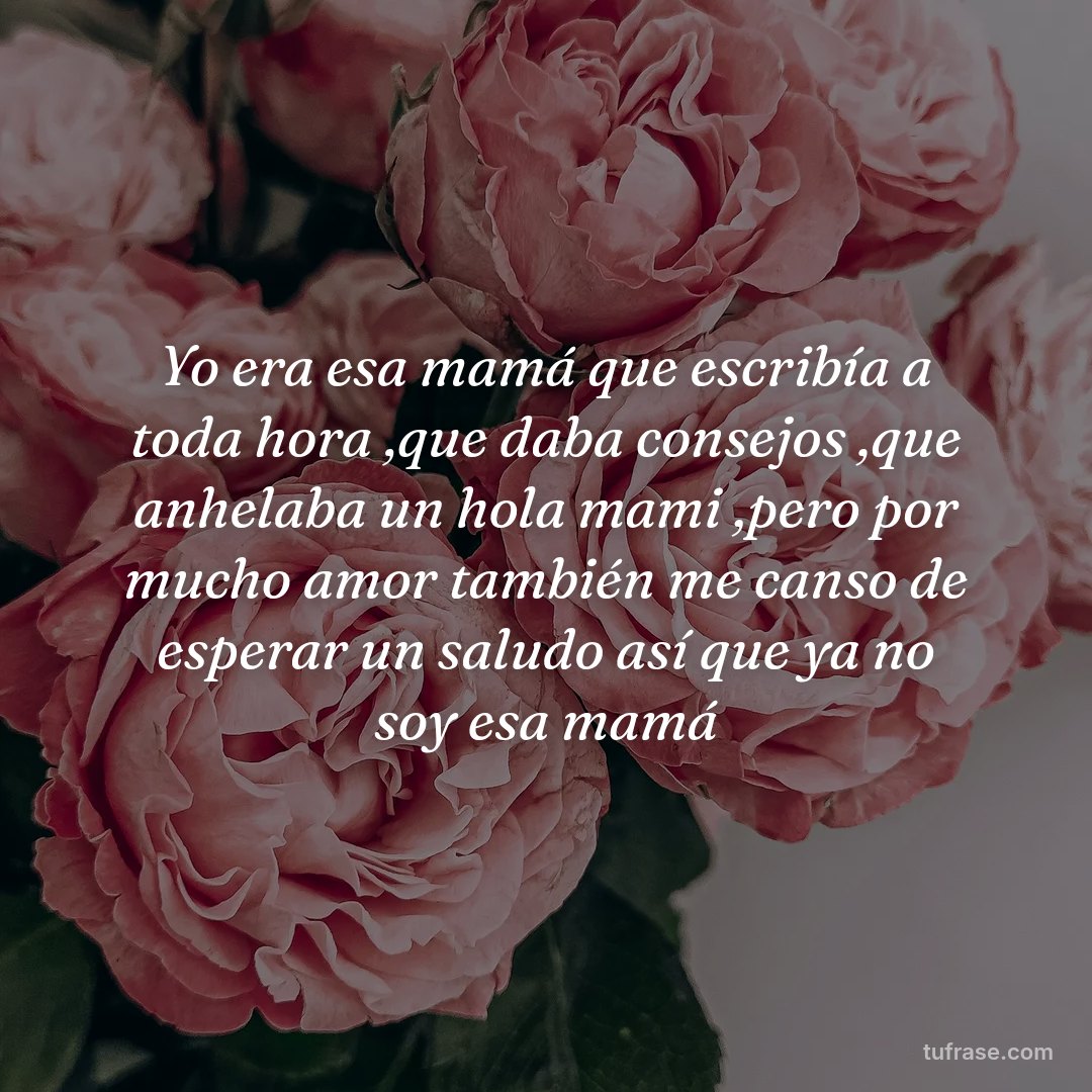 Yo era esa mamá que escribía a toda hora ,que daba consejos ,que anhelaba un hola mami ,pero por mucho amor también me canso de esperar un saludo así que ya no soy esa mamá
