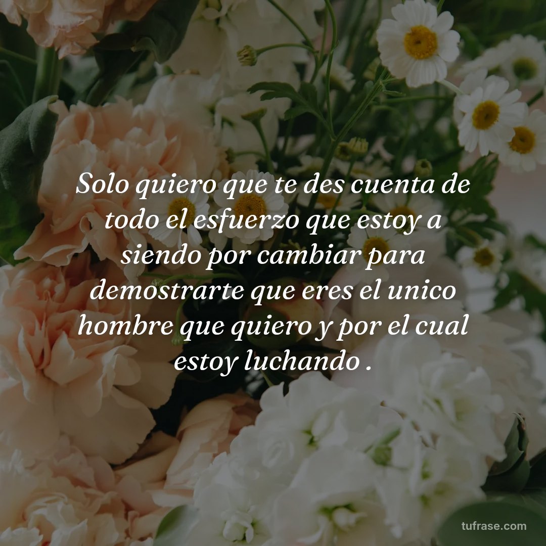 Solo quiero que te des cuenta de todo el esfuerzo que estoy a siendo por cambiar para demostrarte que eres el unico hombre que quiero y por el cual estoy luchando .