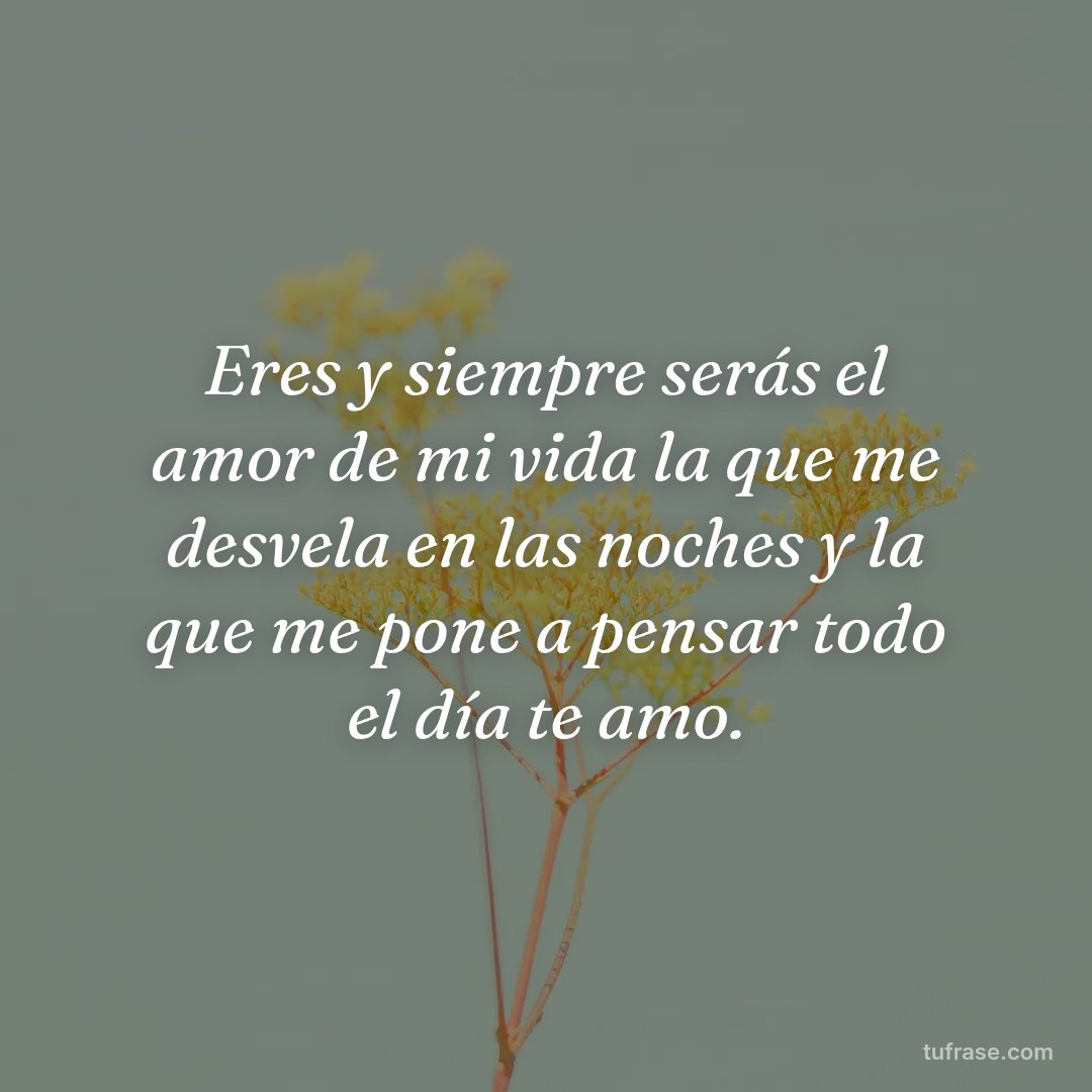 Eres y siempre serás el amor de mi vida la que me desvela en las noches y la que me pone a pensar todo el día te amo.