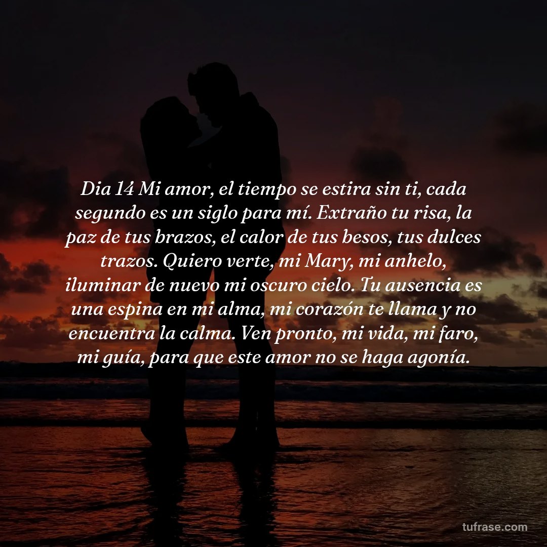 Dia 14 Mi amor, el tiempo se estira sin ti, cada segundo es un siglo para mí. Extraño tu risa, la paz de tus brazos, el calor de tus besos, tus dulces trazos. ​Quiero verte, mi Mary, mi anhelo, iluminar de nuevo mi oscuro cielo. Tu ausencia es una espina en mi alma, mi corazón te llama y no encuentra la calma. ​Ven pronto, mi vida, mi faro, mi guía, para que este amor no se haga agonía.