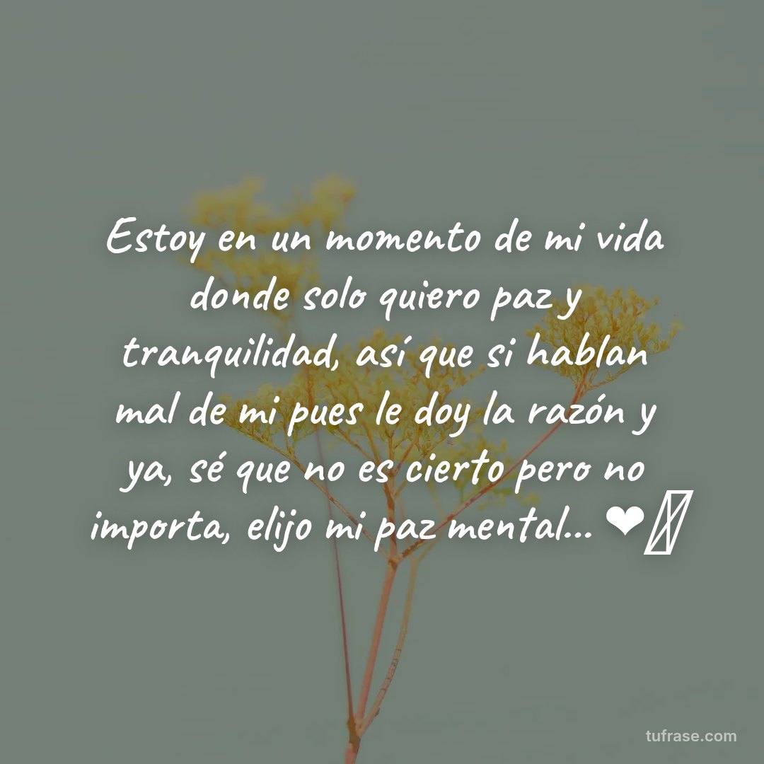 Estoy en un momento de mi vida donde solo quiero paz y tranquilidad, así que si hablan mal de mi pues le doy la razón y ya, sé que no es cierto pero no importa, elijo mi paz mental... ❤️‍🩹