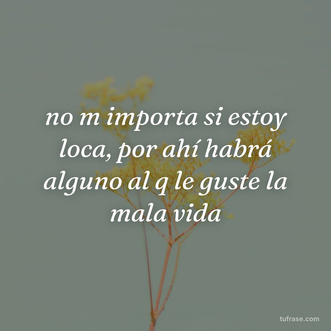 no m importa si estoy loca, por ahí habrá alguno al q le guste la mala vida