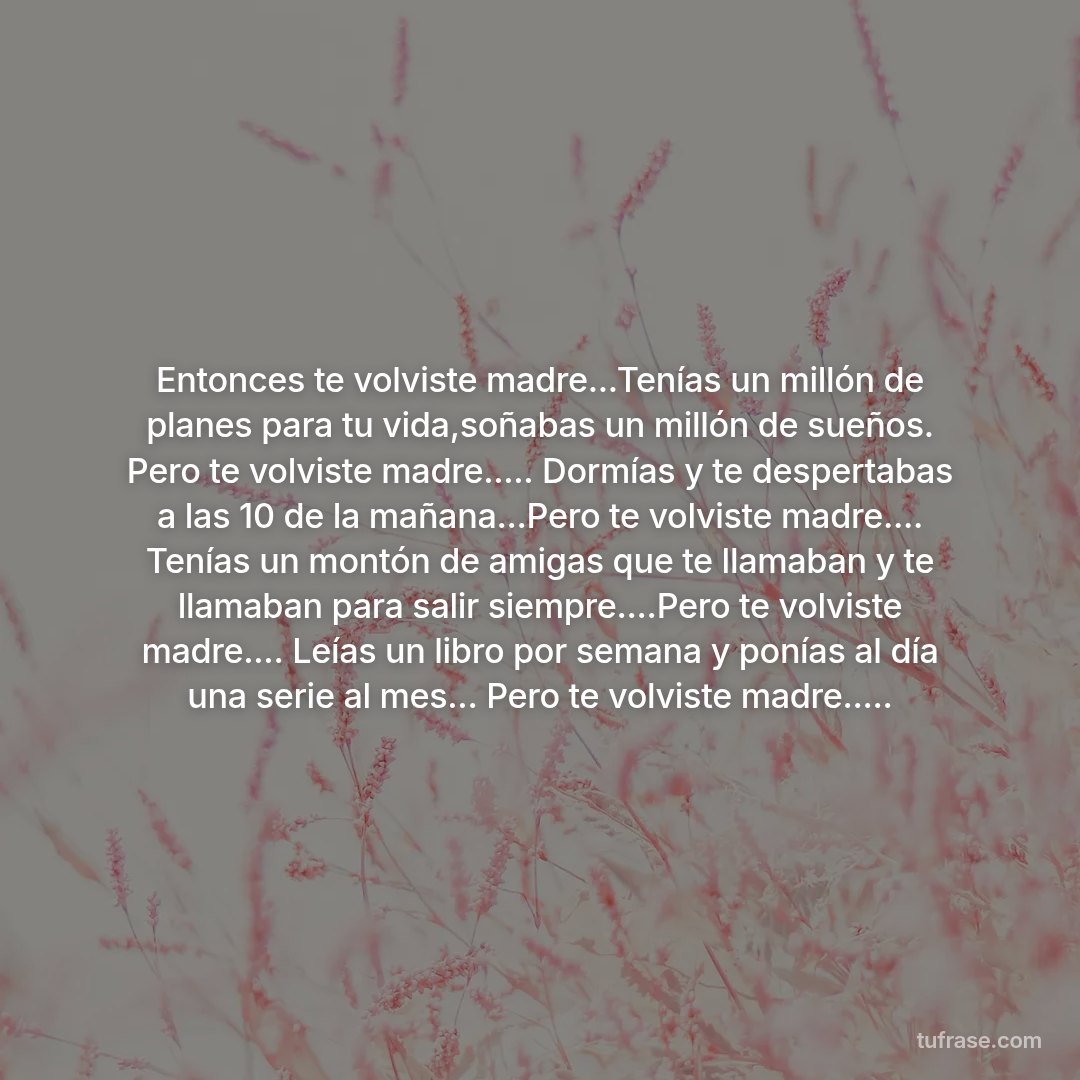 Entonces te volviste madre...Tenías un millón de planes para tu vida,soñabas un millón de sueños. Pero te volviste madre..... Dormías y te despertabas a las 10 de la mañana...Pero te volviste madre.... Tenías un montón de amigas que te llamaban y te llamaban para salir siempre....Pero te volviste madre.... Leías un libro por semana y ponías al día una serie al mes... Pero te volviste madre.....