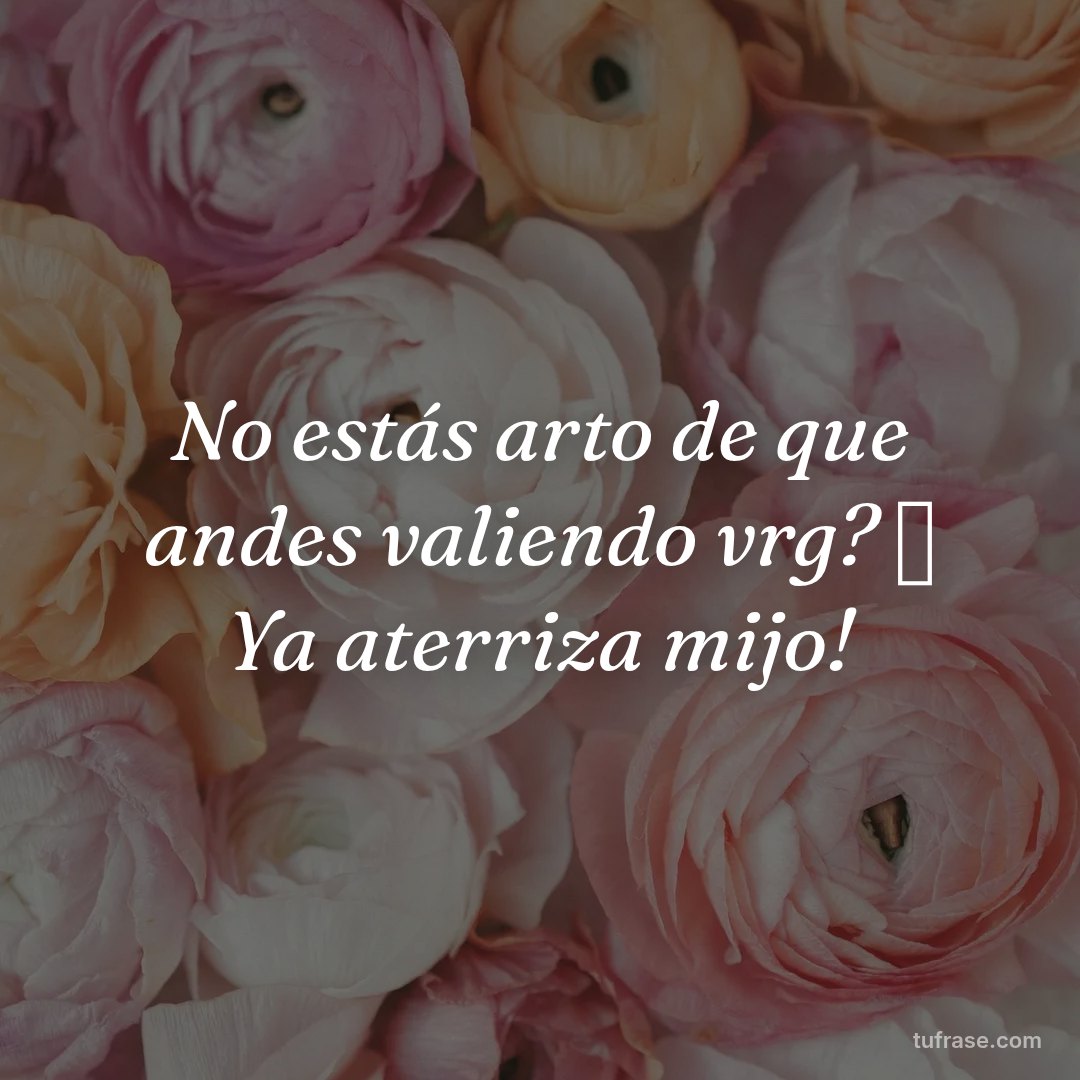 No estás arto de que andes valiendo vrg? 🤣 Ya aterriza mijo!