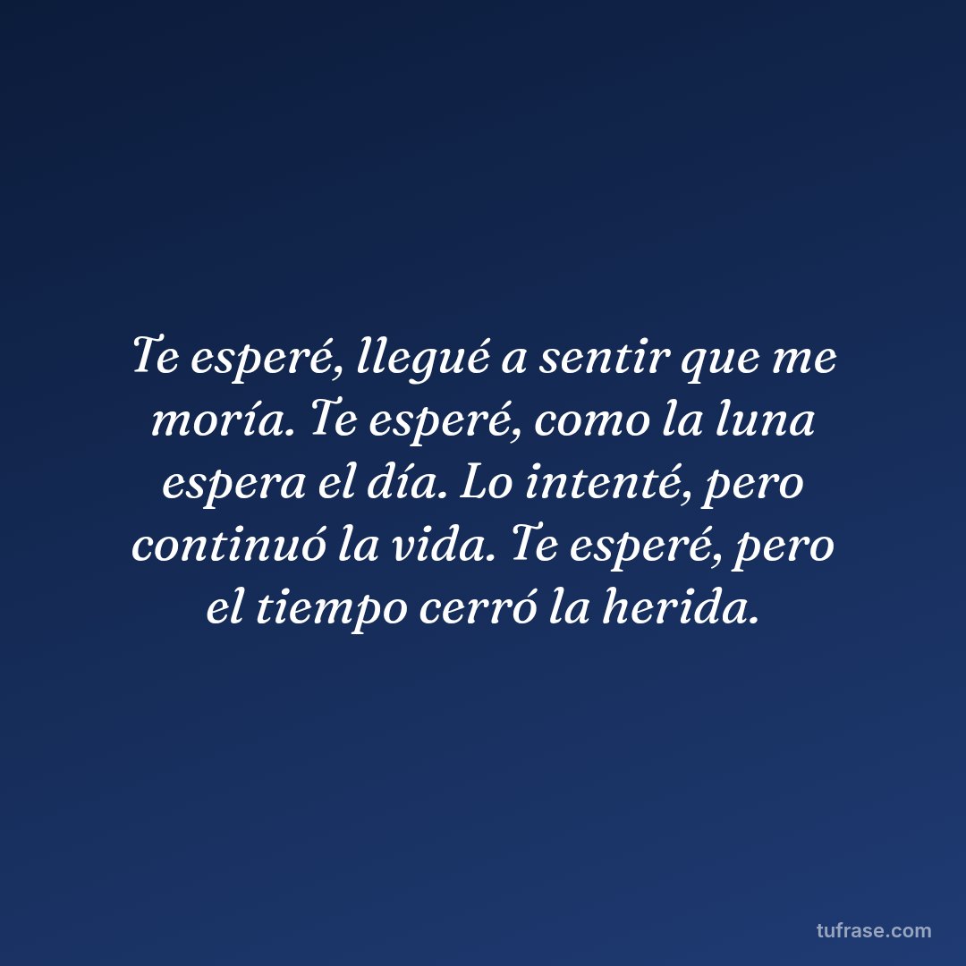 Te esperé, llegué a sentir que me moría. Te esperé, como la luna espera el día. Lo intenté, pero continuó la vida. Te esperé, pero el tiempo cerró la herida.