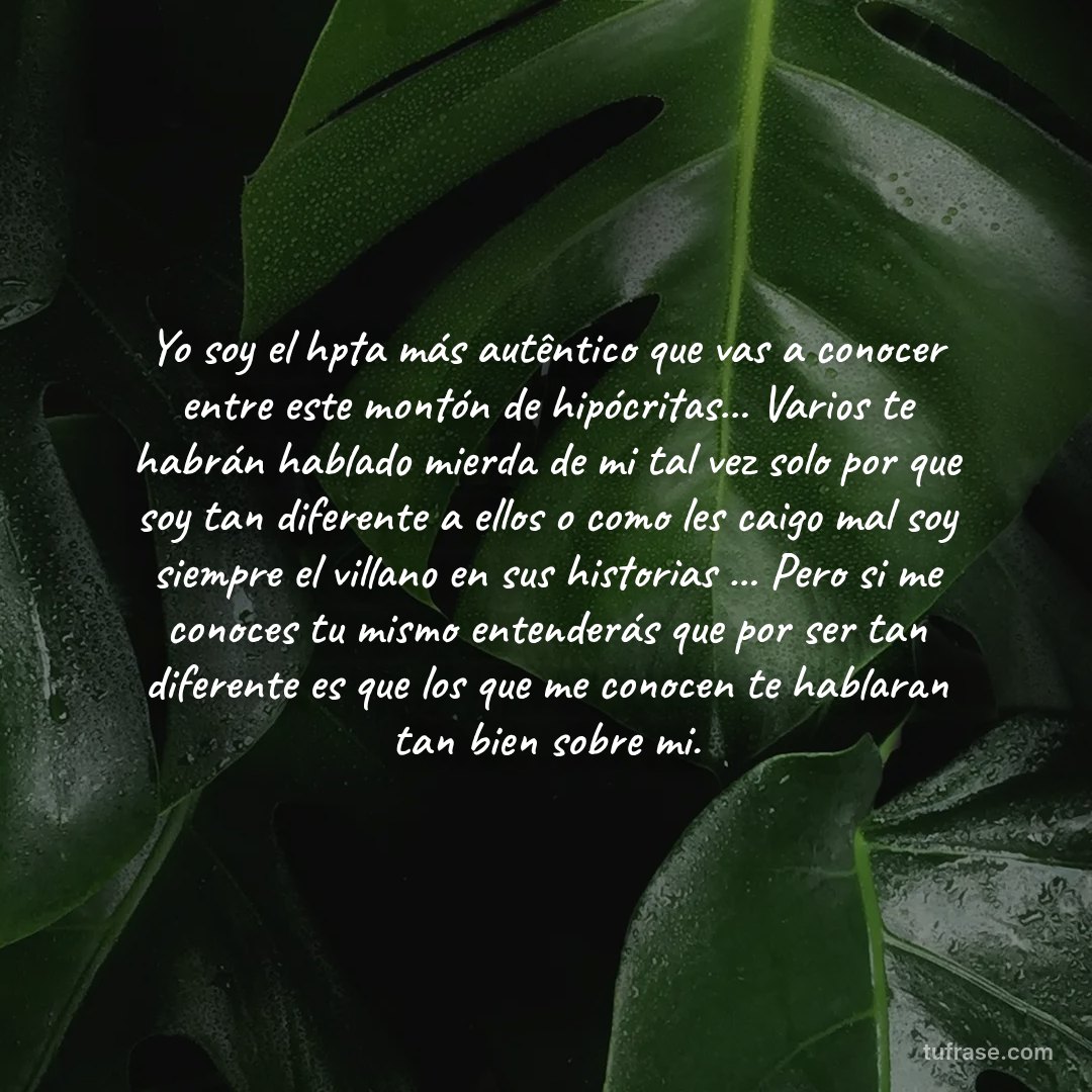 Yo soy el hpta más autêntico que vas a conocer entre este montón de hipócritas... Varios te habrán hablado mierda de mi tal vez solo por que soy tan diferente a ellos o como les caigo mal soy siempre el villano en sus historias ... Pero si me conoces tu mismo entenderás que por ser tan diferente es que los que me conocen te hablaran tan bien sobre mi.