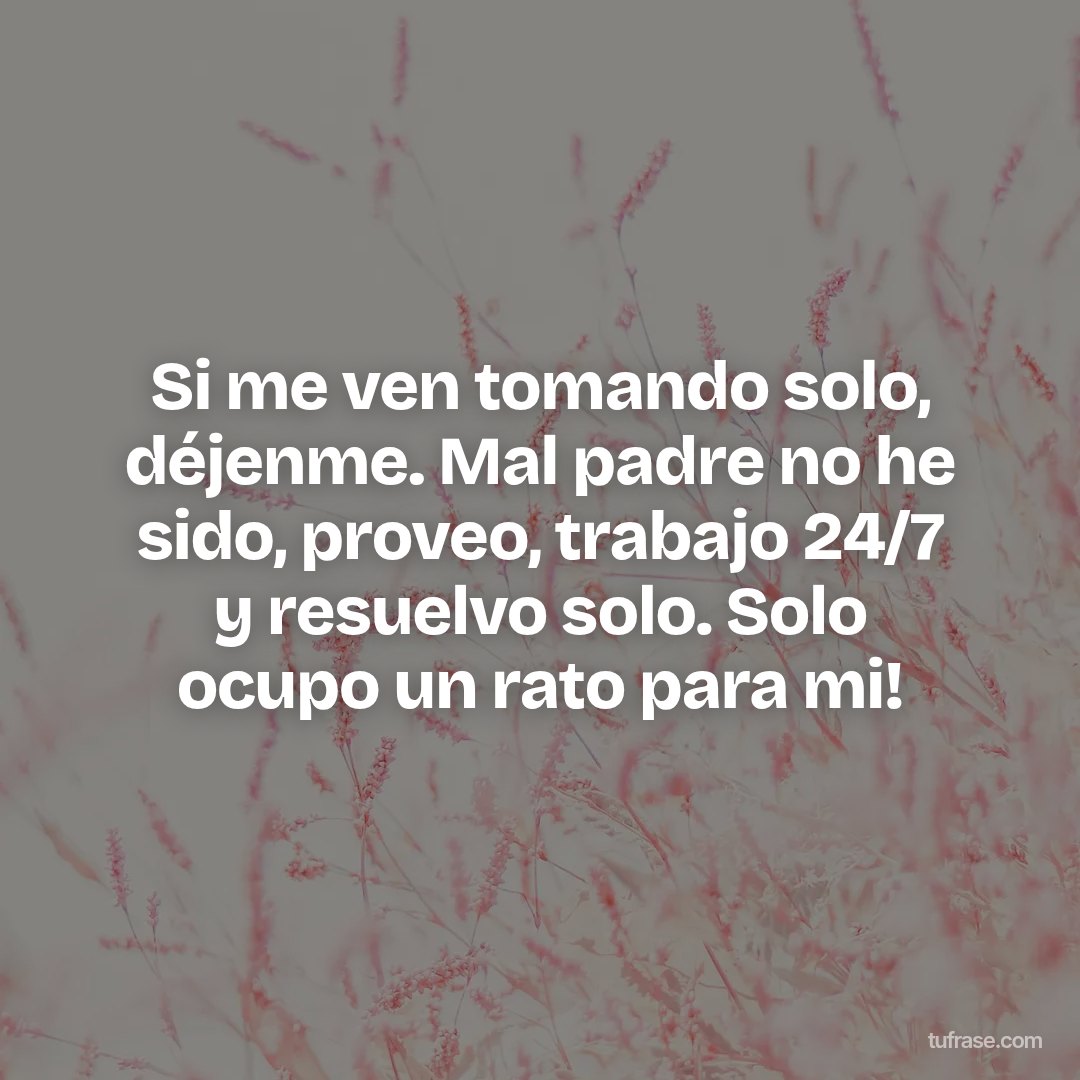 Si me ven tomando solo, déjenme. Mal padre no he sido, proveo, trabajo 24/7 y resuelvo solo. Solo ocupo un rato para mi!