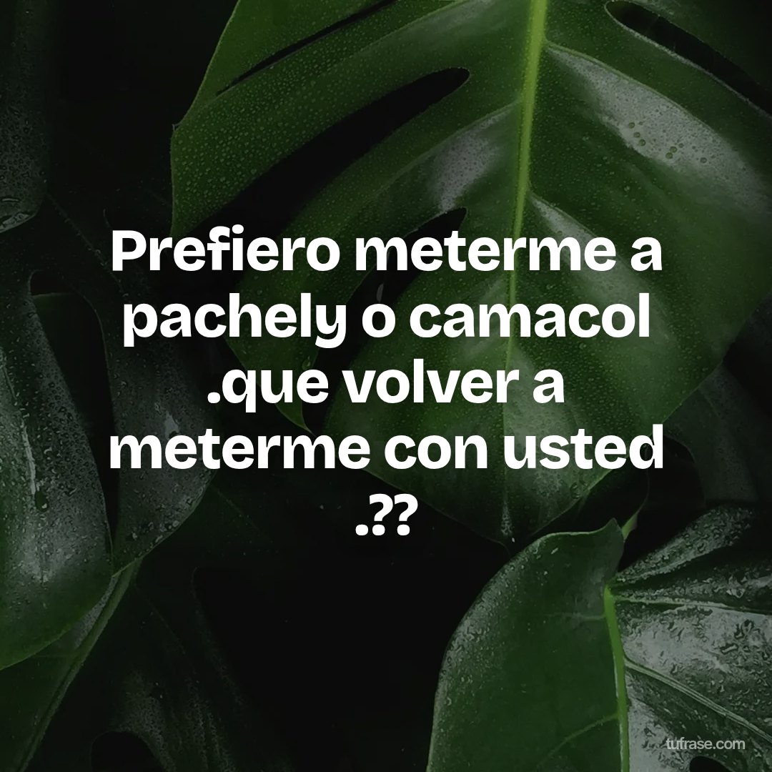 Prefiero meterme a pachely o camacol .que volver a meterme con usted .??