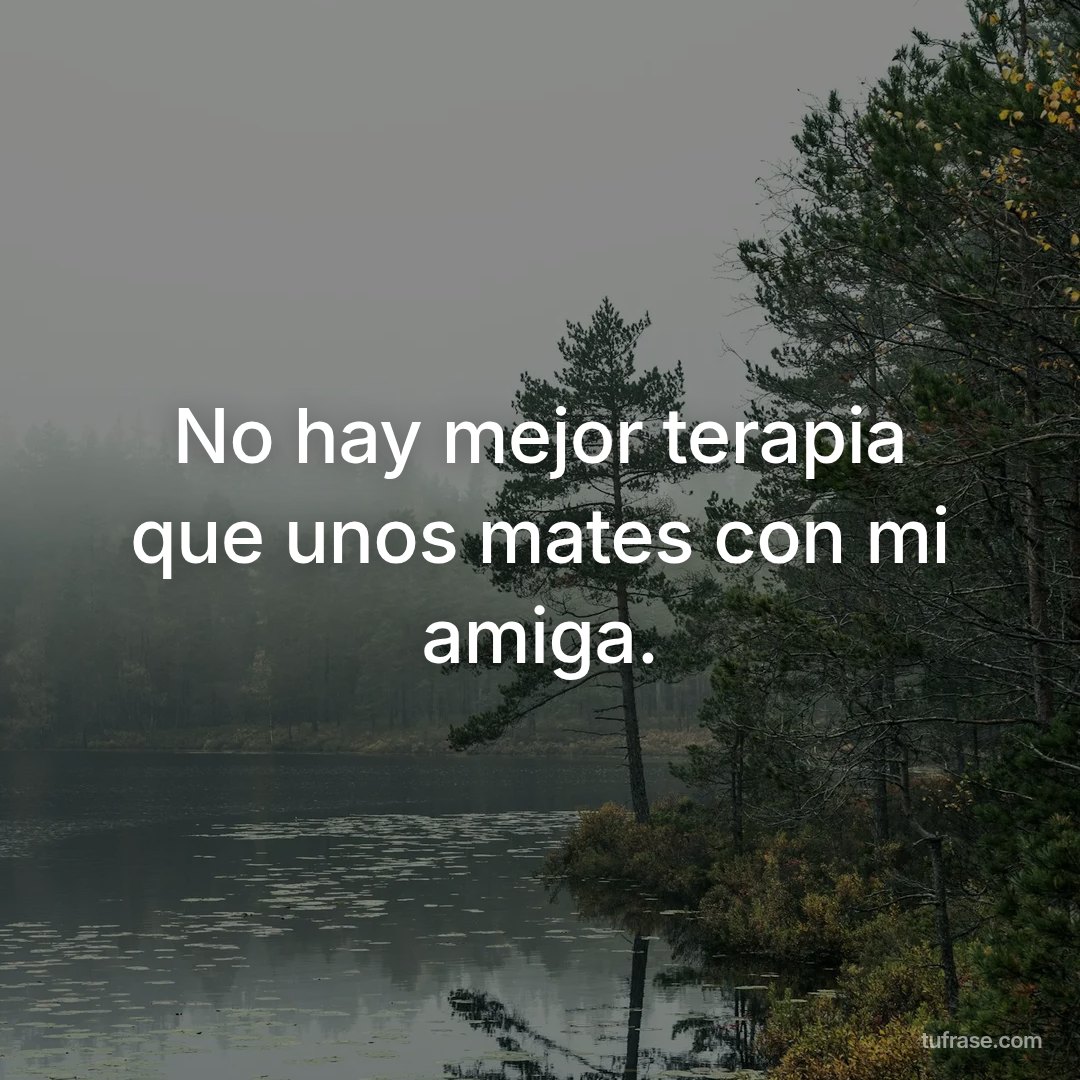 No hay mejor terapia que unos mates con mi amiga.