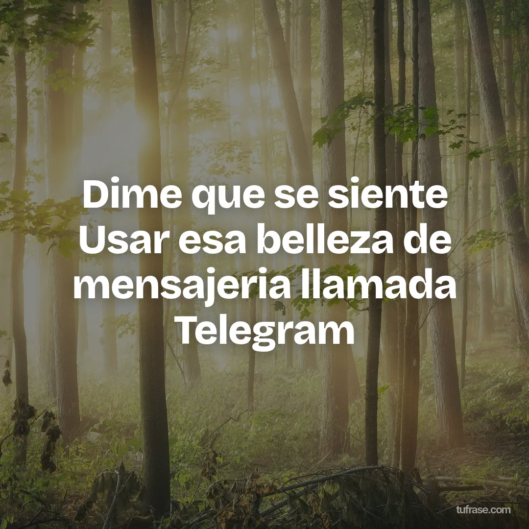 Dime que se siente Usar esa belleza de mensajeria llamada Telegram