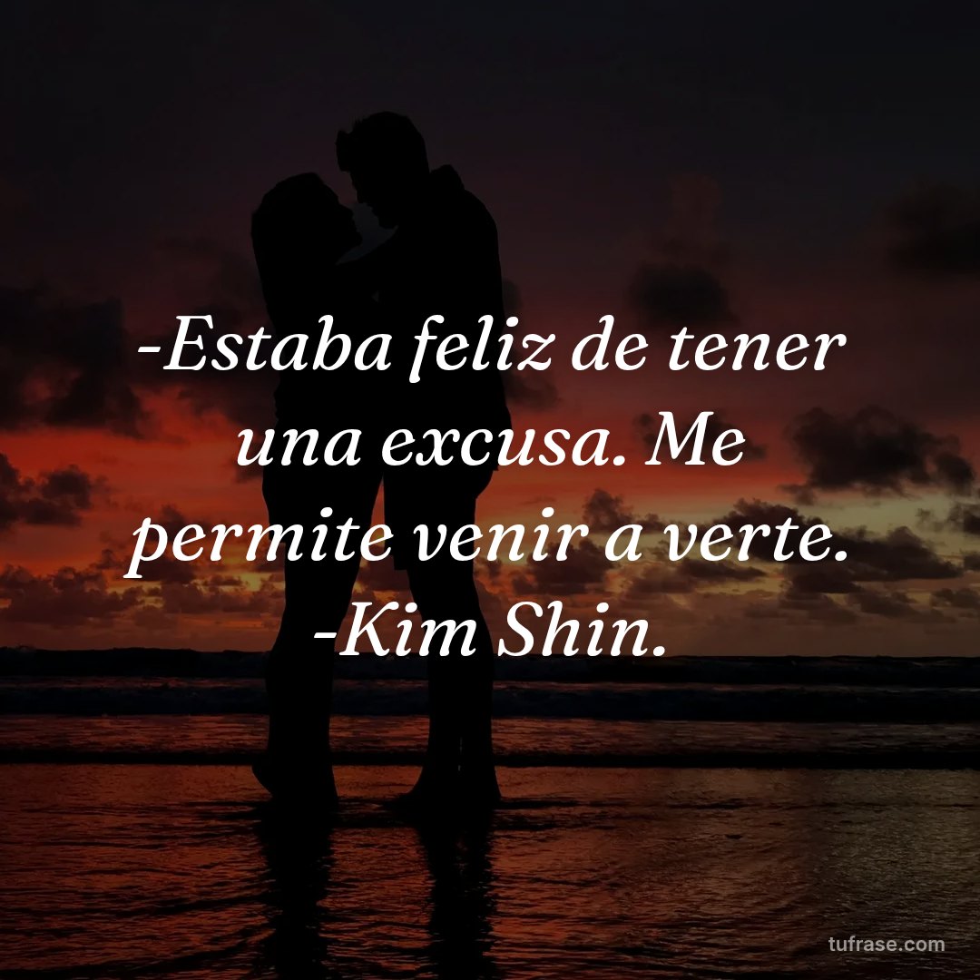 -Estaba feliz de tener una excusa. Me permite venir a verte. -Kim Shin.