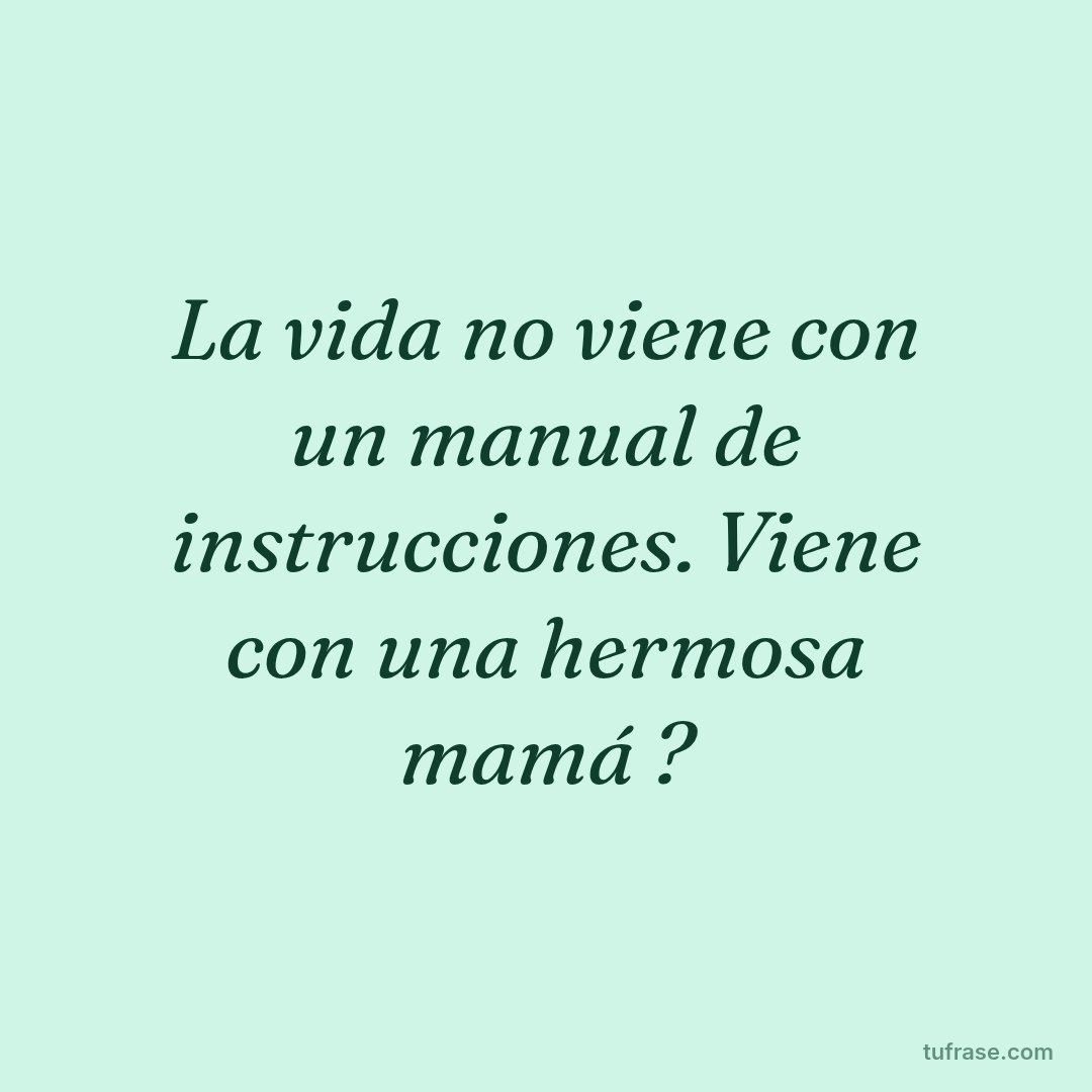 La vida no viene con un manual de instrucciones. Viene con una hermosa mamá ?