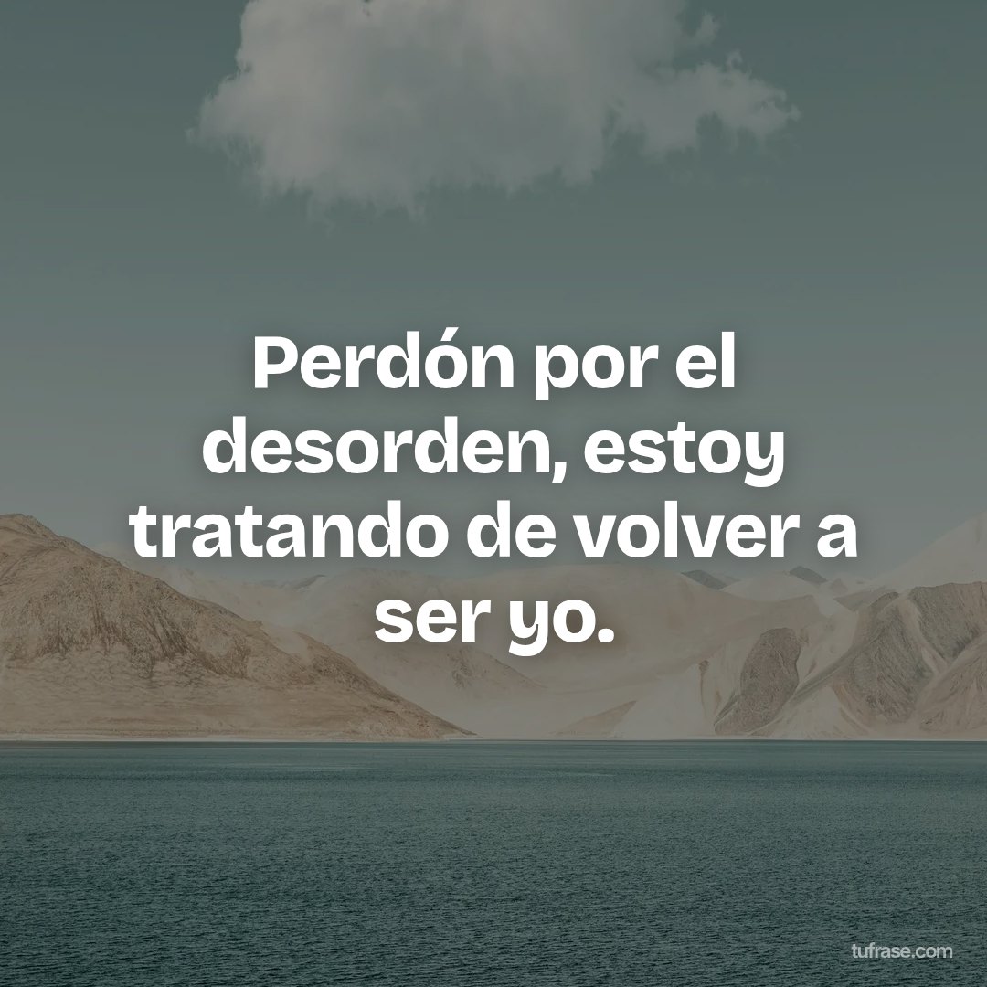 Perdón por el desorden, estoy tratando de volver a ser yo.