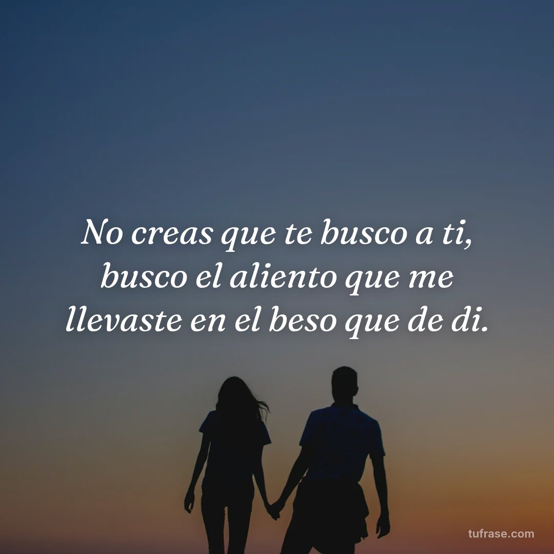 No creas que te busco a ti, busco el aliento que me llevaste en el beso que de di.