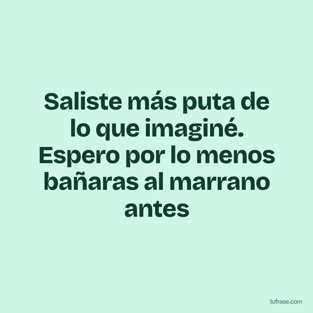 Saliste más puta de lo que imaginé. Espero por lo menos bañaras al marrano antes