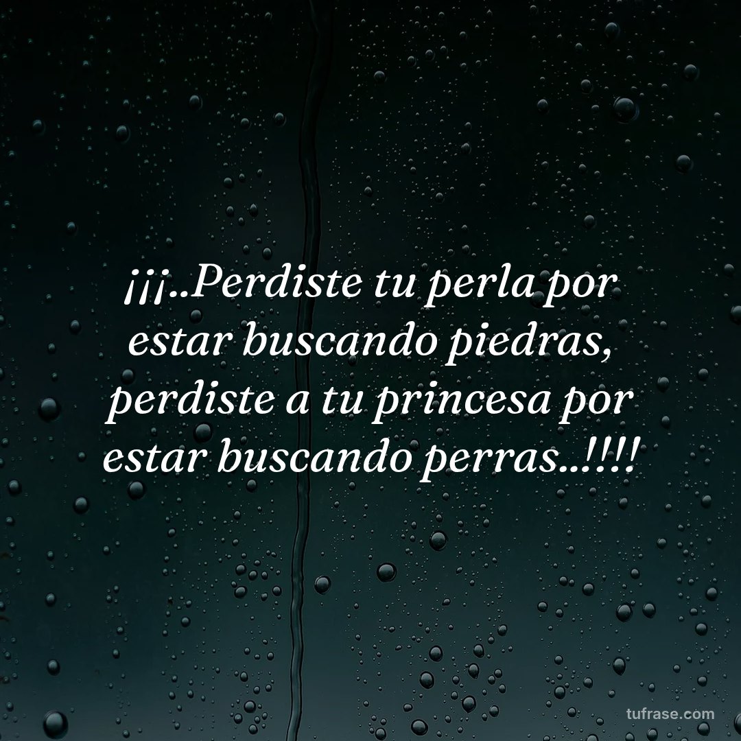 ¡¡¡..Perdiste tu perla por estar buscando piedras, perdiste a tu princesa por estar buscando perras..!!!!