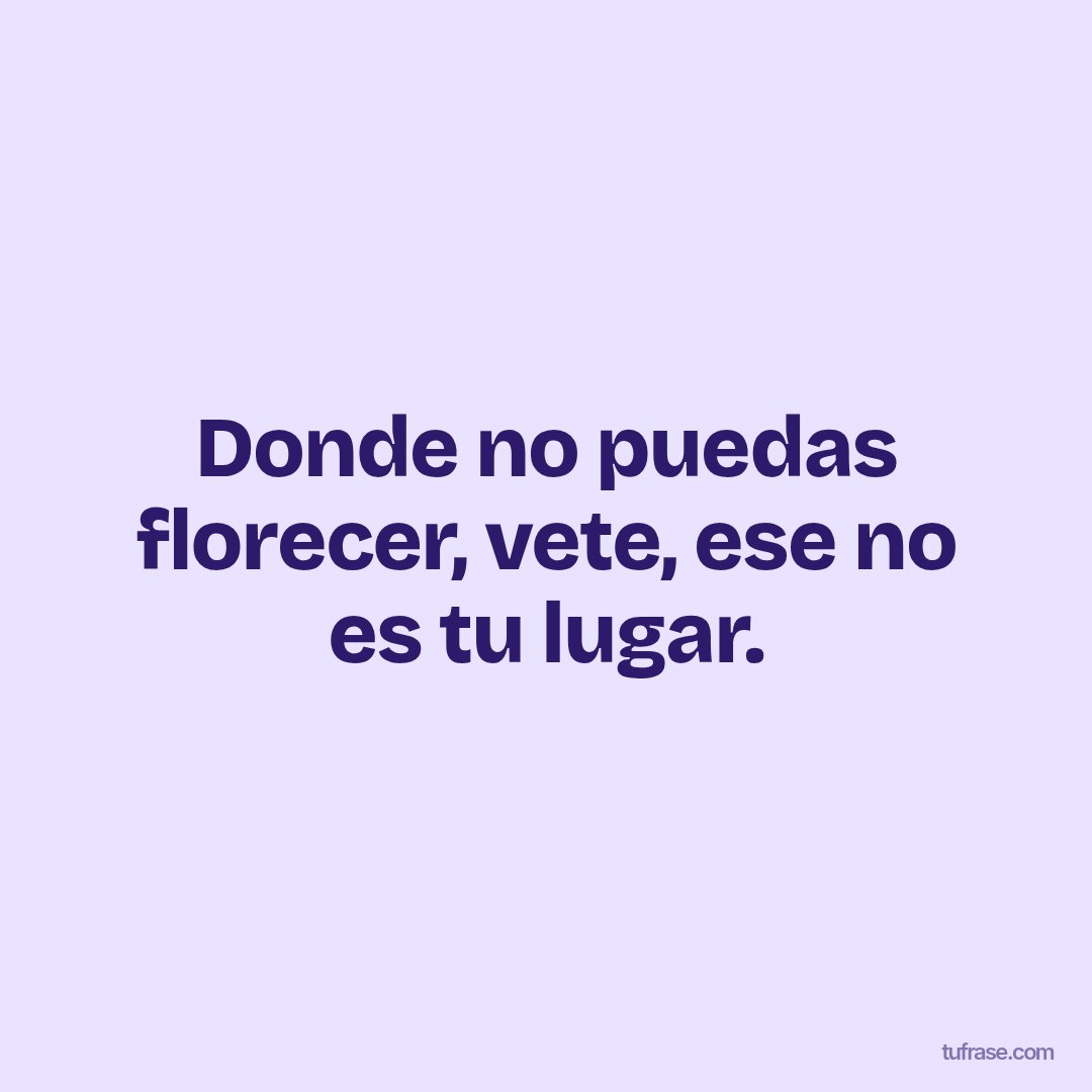 Donde no puedas florecer, vete, ese no es tu lugar.