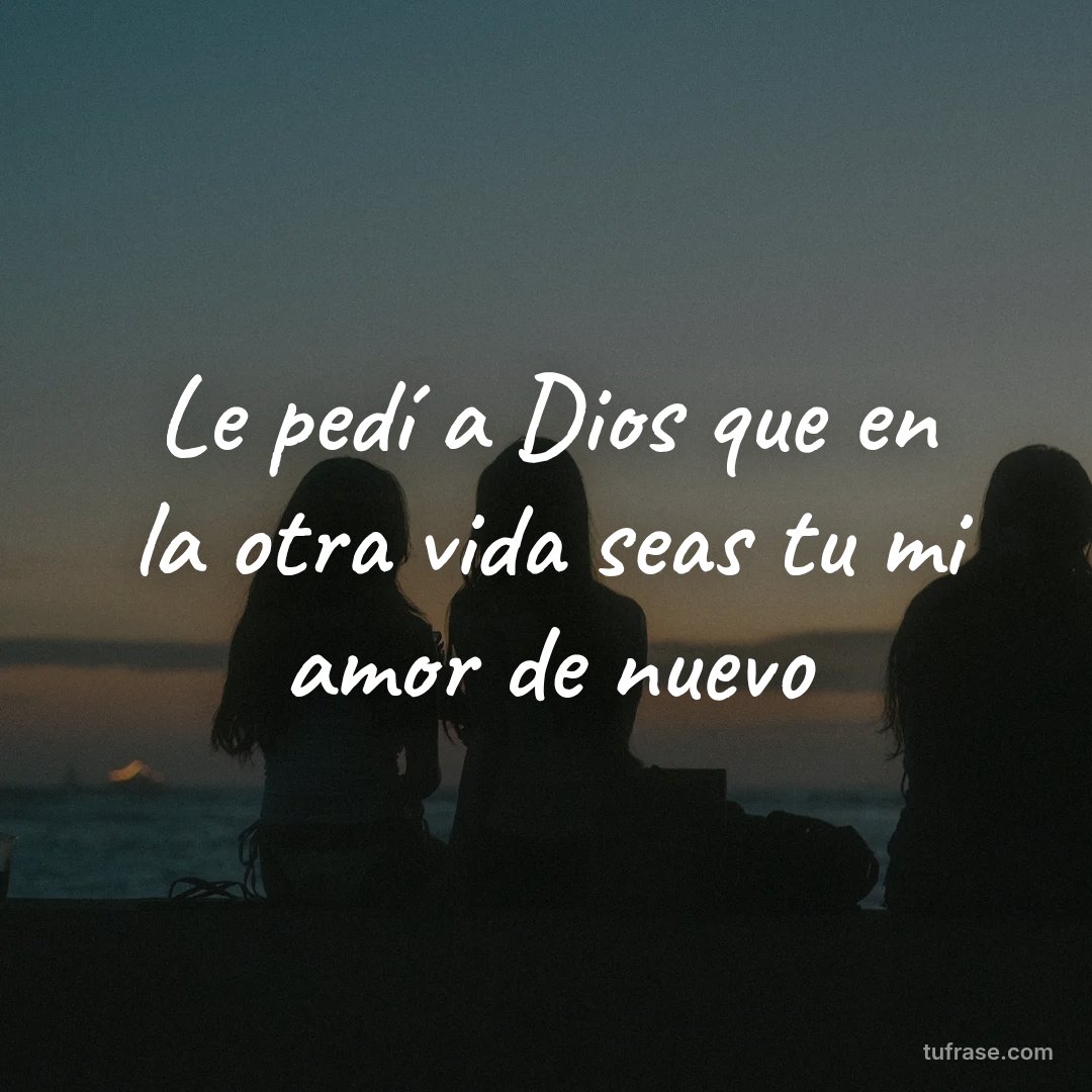 Le pedí a Dios que en la otra vida seas tu mi amor de nuevo
