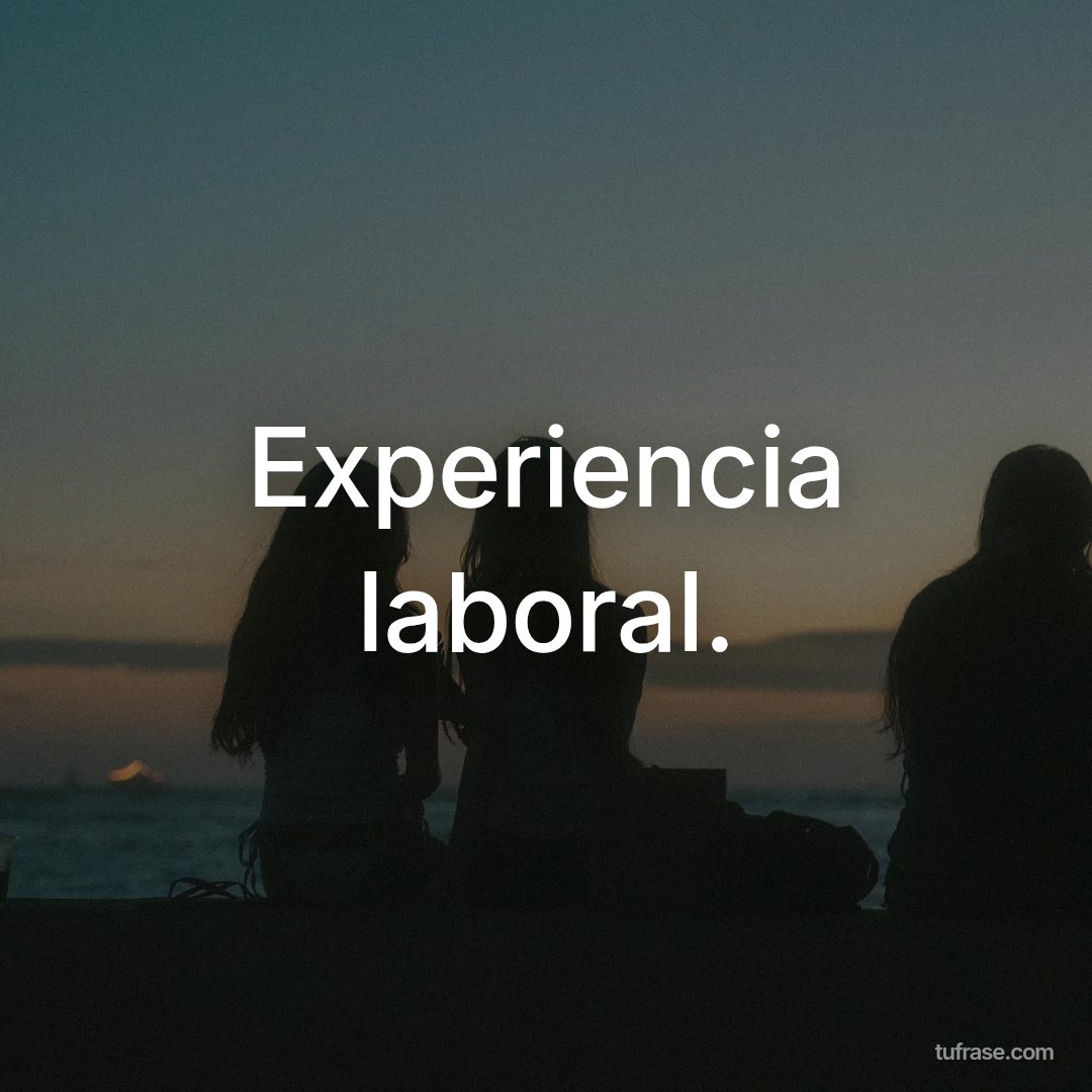 Experiencia laboral.