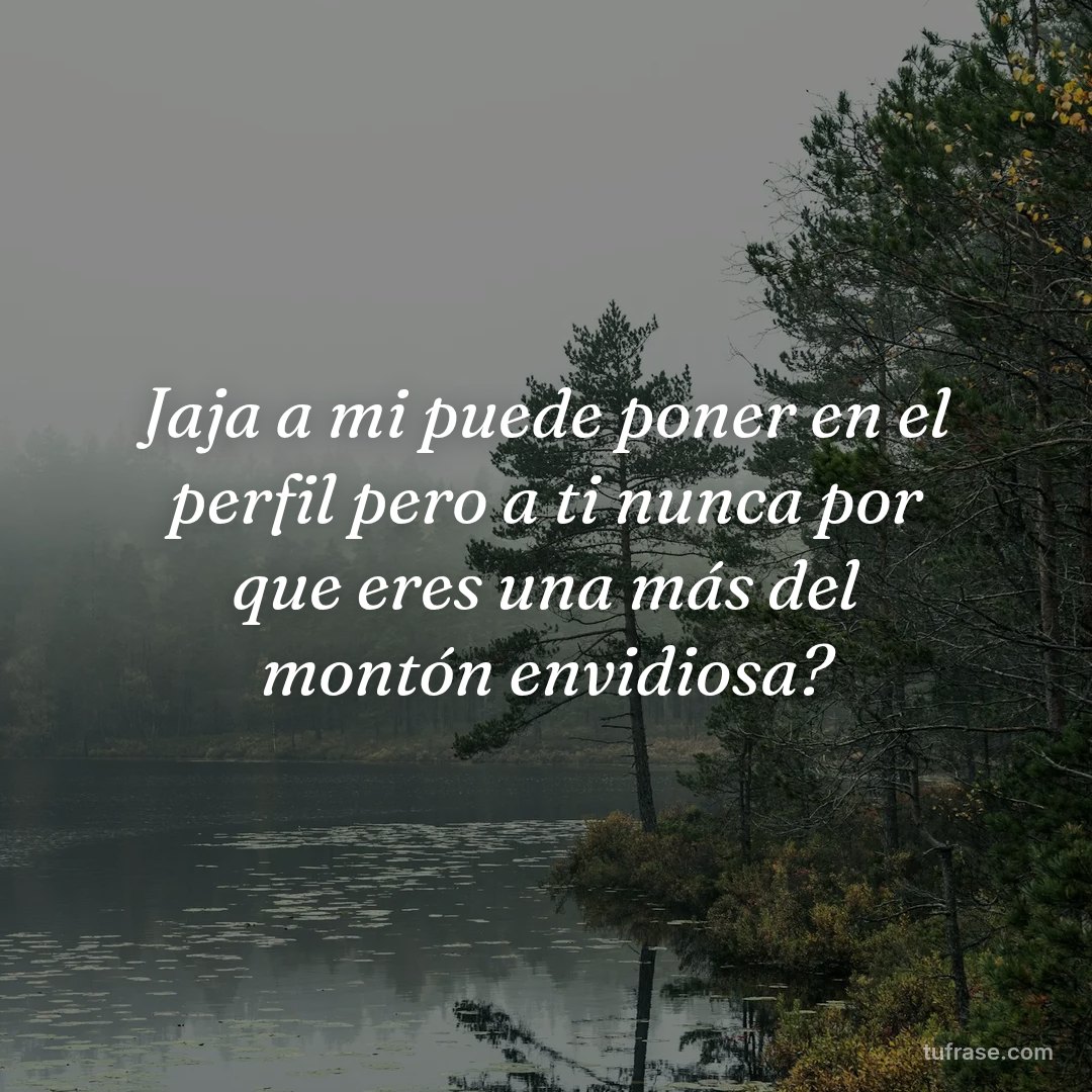 Jaja a mi puede poner en el perfil pero a ti nunca por que eres una más del montón envidiosa?