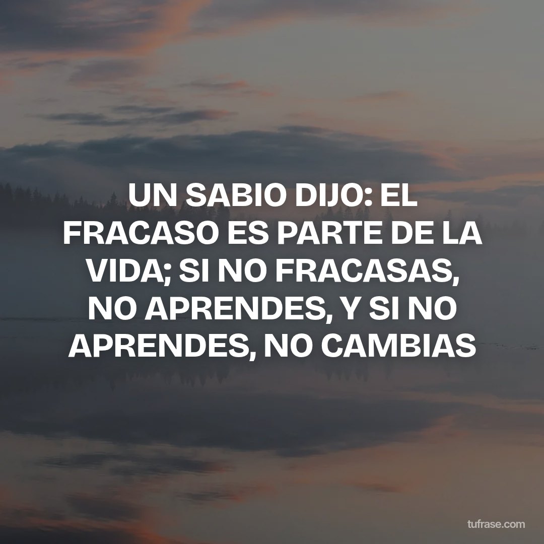 UN SABIO DIJO: EL FRACASO ES PARTE DE LA VIDA; SI NO FRACASAS, NO APRENDES, Y SI NO APRENDES, NO CAMBIAS
