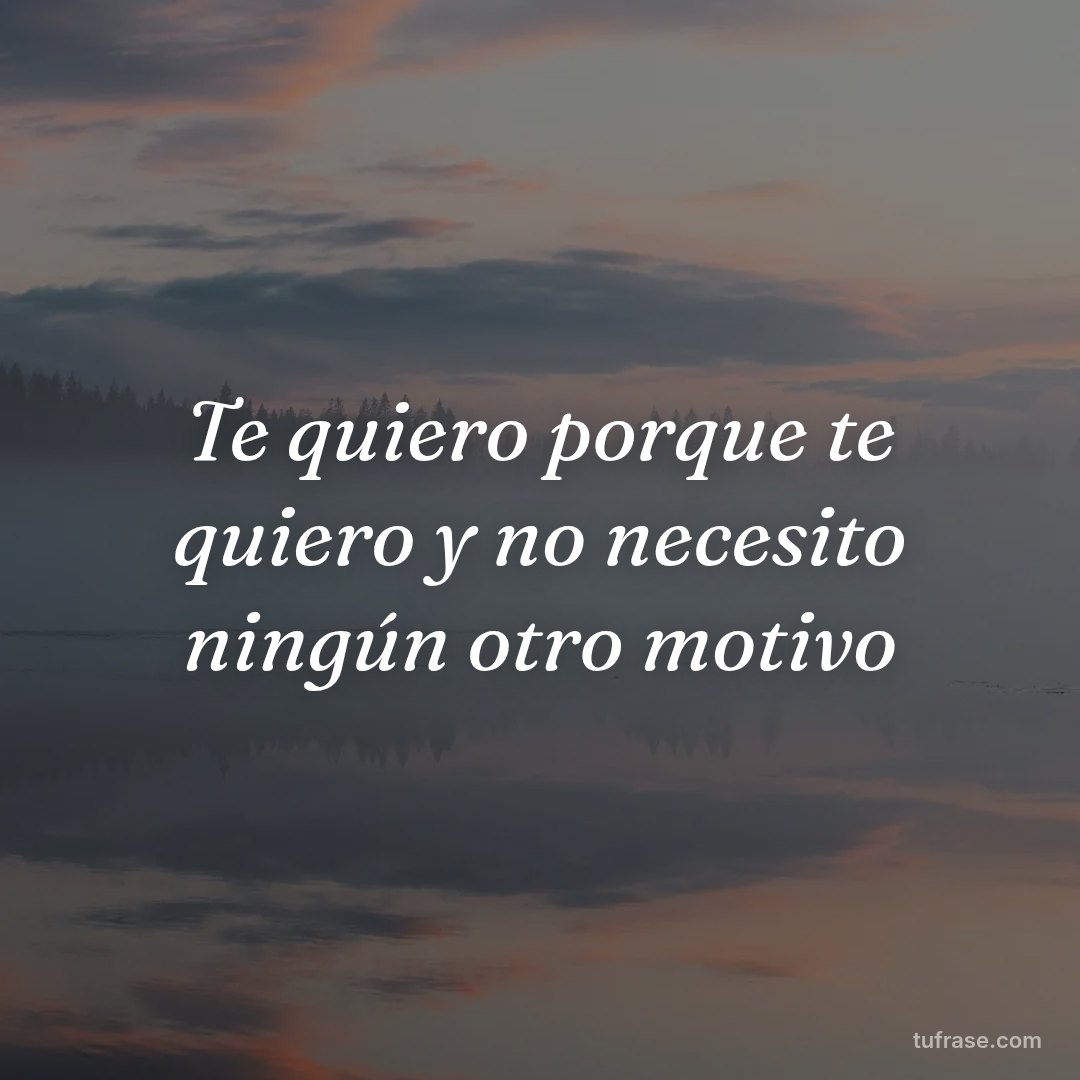 Te quiero porque te quiero y no necesito ningún otro motivo