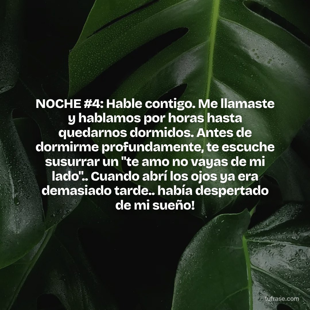 NOCHE #4: Hable contigo. Me llamaste y hablamos por horas hasta quedarnos dormidos. Antes de dormirme profundamente, te escuche susurrar un "te amo no vayas de mi lado".. Cuando abrí los ojos ya era demasiado tarde.. había despertado de mi sueño!