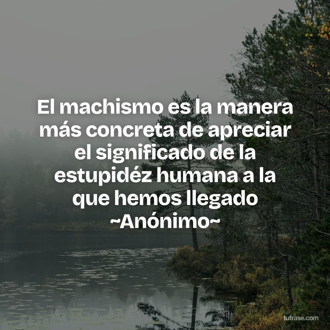 El machismo es la manera más concreta de apreciar el significado de la estupidéz humana a la que hemos llegado ~Anónimo~