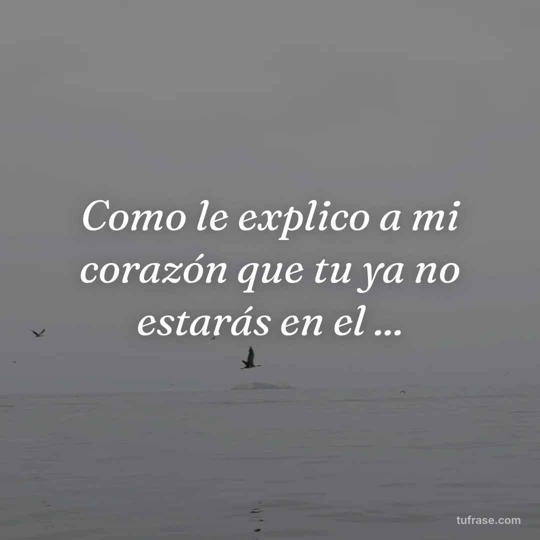 Como le explico a mi corazón que tu ya no estarás en el ...