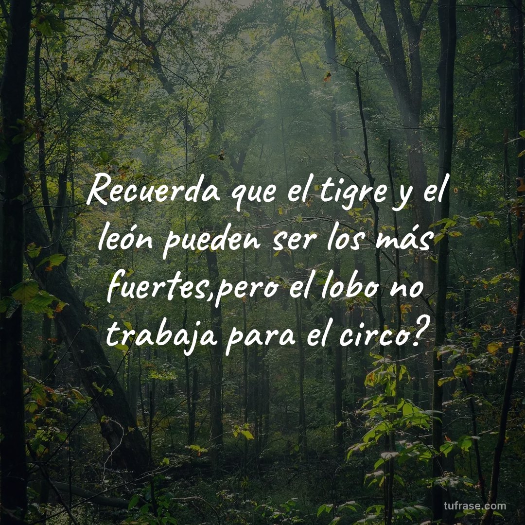Recuerda que el tigre y el león pueden ser los más fuertes,pero el lobo no trabaja para el circo?
