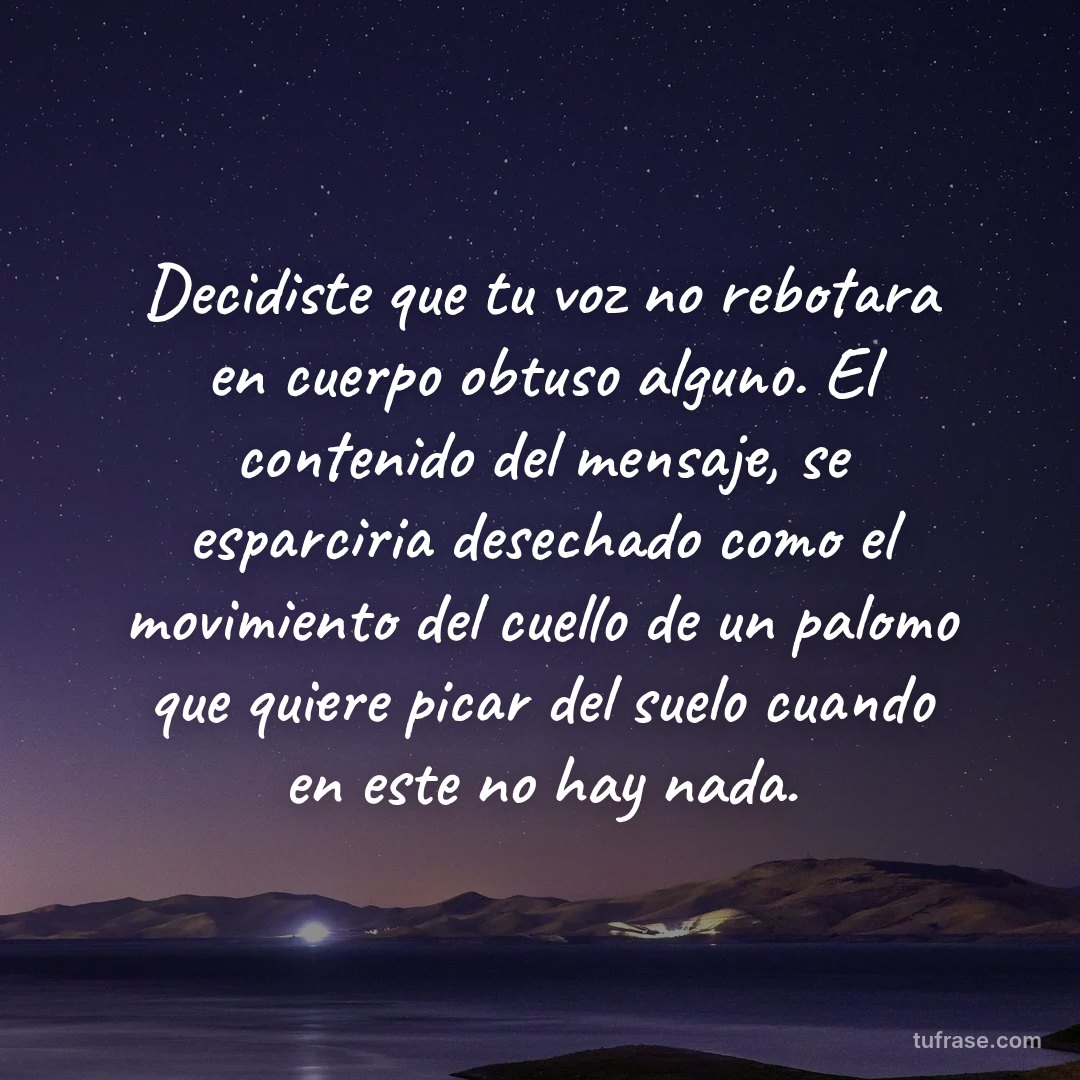 Decidiste que tu voz no rebotara en cuerpo obtuso alguno. El contenido del mensaje, se esparciria desechado como el movimiento del cuello de un palomo que quiere picar del suelo cuando en este no hay nada.