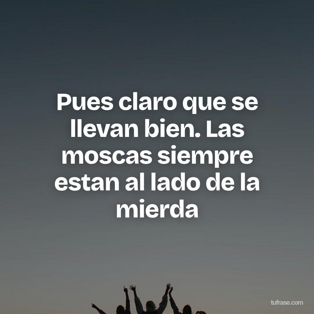 Pues claro que se llevan bien. Las moscas siempre estan al lado de la mierda