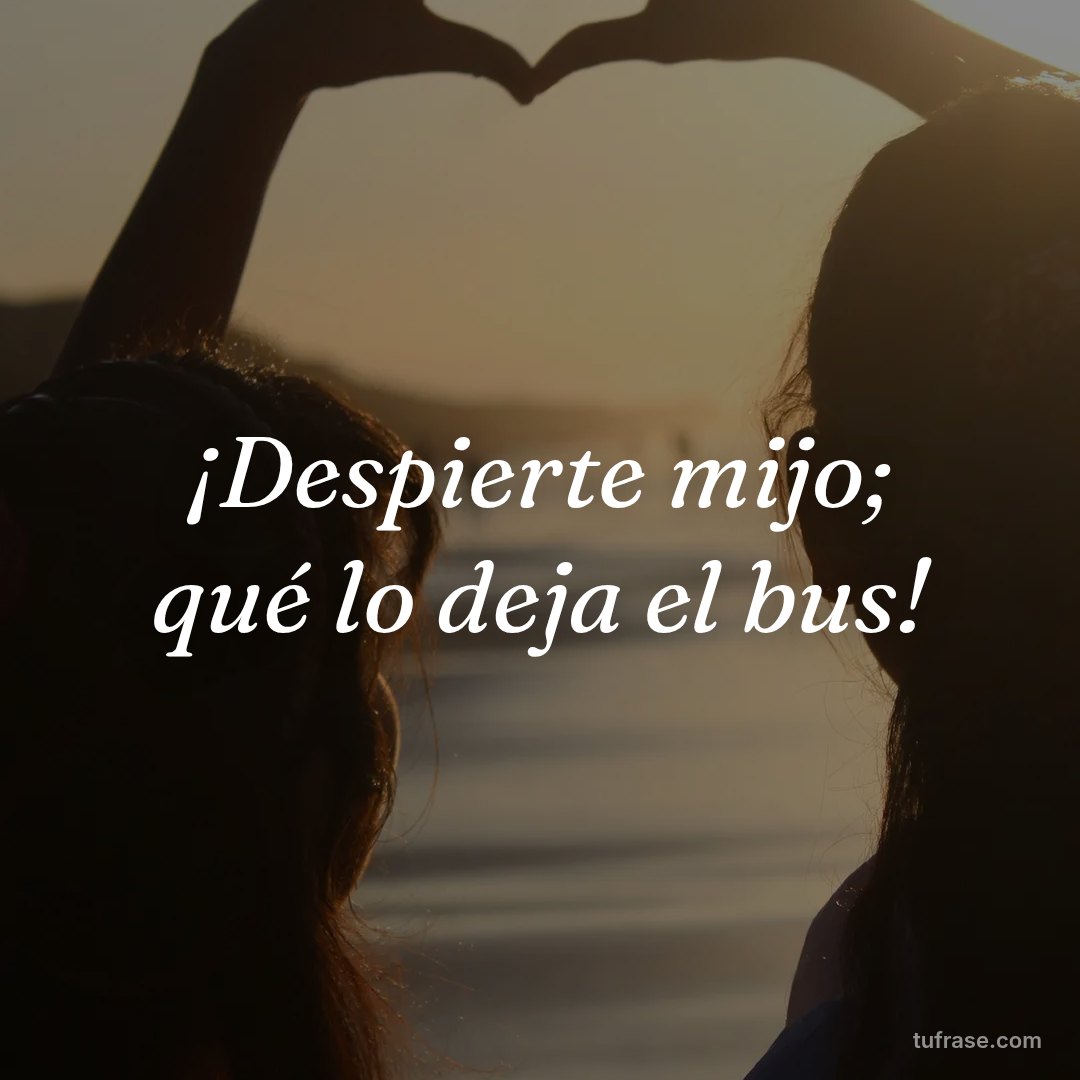 ¡Despierte mijo; qué lo deja el bus!