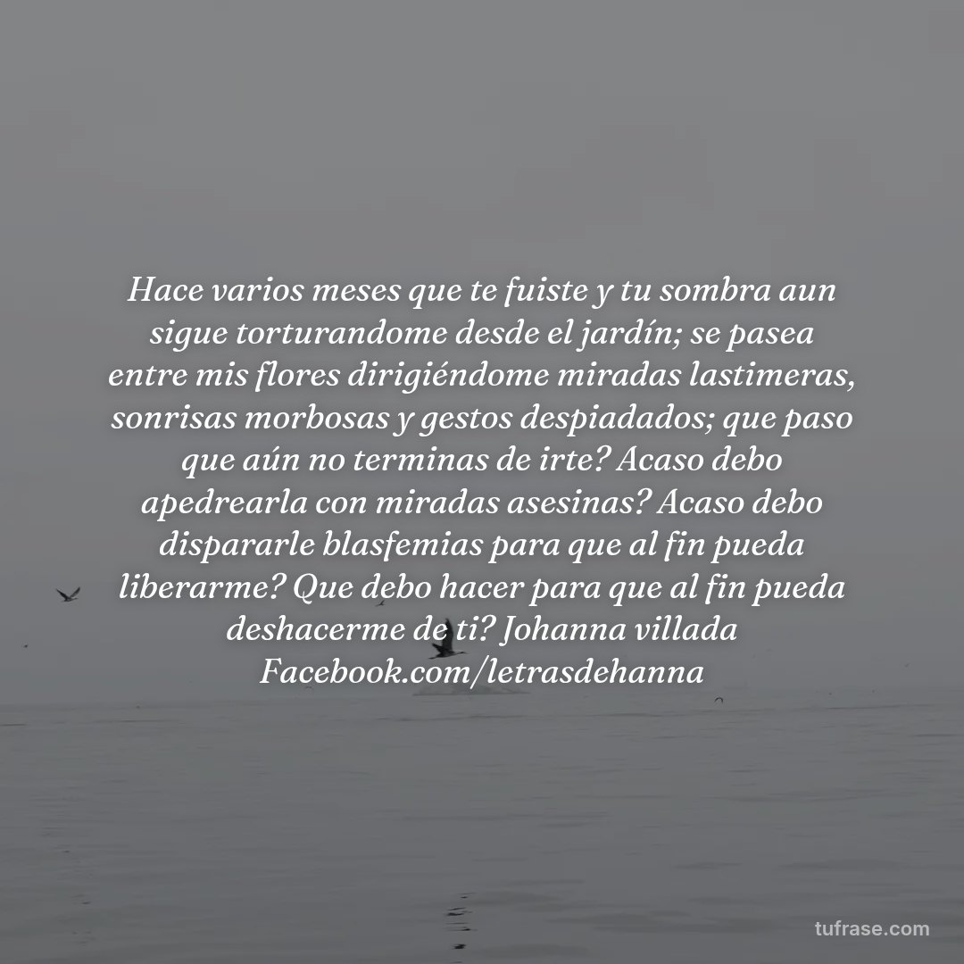 Hace varios meses que te fuiste y tu sombra aun sigue torturandome desde el jardín; se pasea entre mis flores dirigiéndome miradas lastimeras, sonrisas morbosas y gestos despiadados; que paso que aún no terminas de irte? Acaso debo apedrearla con miradas asesinas? Acaso debo dispararle blasfemias para que al fin pueda liberarme? Que debo hacer para que al fin pueda deshacerme de ti? Johanna villada Facebook.com/letrasdehanna